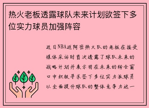 热火老板透露球队未来计划欲签下多位实力球员加强阵容